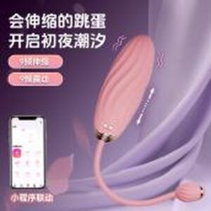 Honey Thrust Rechargeable Thrusting Egg